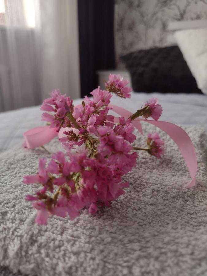 Apartament Nad Jeziorakiem Iława Extérieur photo